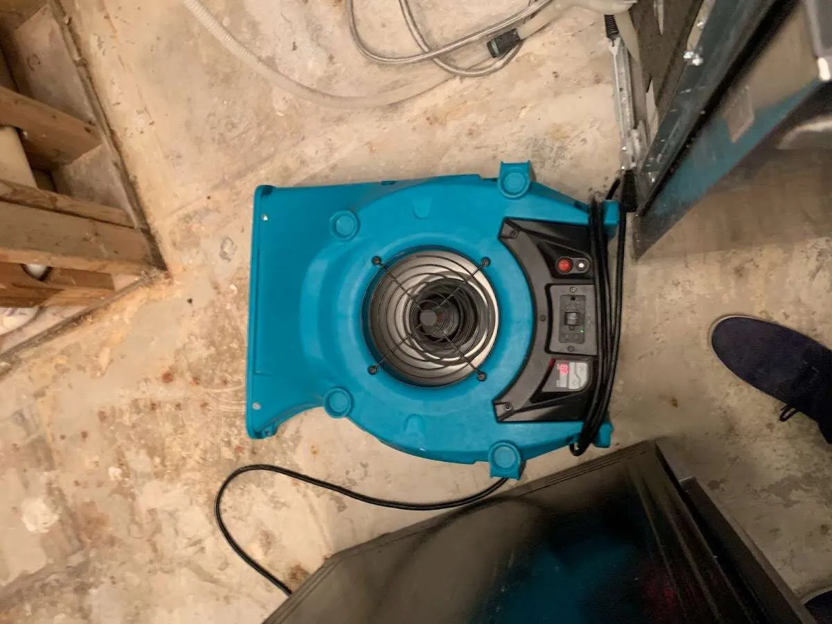 Air mover drying equipment for Mold Remediation & Removal in Bastrop
